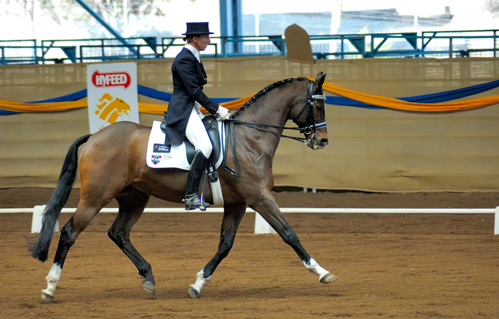 Durant un allongement, le cavalier demande à son cheval d'augmenter l'amplitude de sa foulée, sans modifier la cadence.