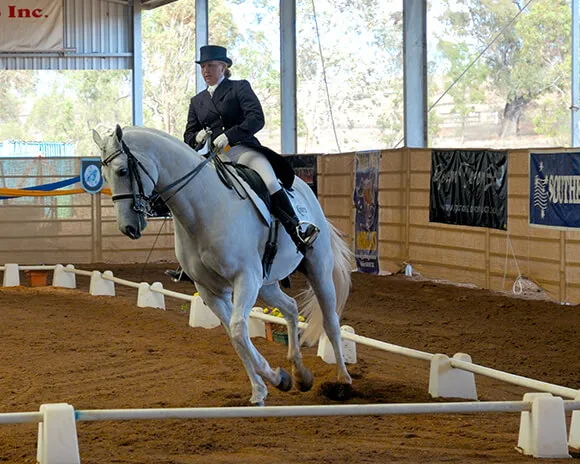 Des transitions rapprochées, notamment sur un cercle, vous permettront d’améliorer la réactivité de votre cheval
