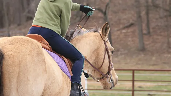 Idées d'exercices à cheval - 1ère partie : les plots !