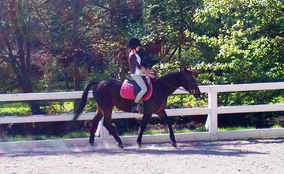 Pour éviter les mauvaises surprises, essayez le cheval au moins une fois avant de le prendre en demi-pension