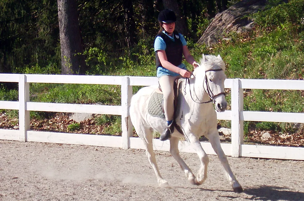 En mettant votre cheval au pair, vous acceptez qu'il puisse être monté par des cavaliers de tout niveau.