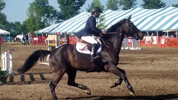 Gérer un cheval chaud