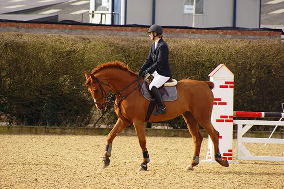Avant de vous lancer sur votre parcours, prenez quelques instants pour vérifier la disponibilité de votre cheval et l'habituer au terrain.