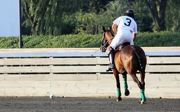 Varier le travail permet d’avoir un cheval plus réactif. Et si vous vous essayiez à de nouvelles disciplines ?
