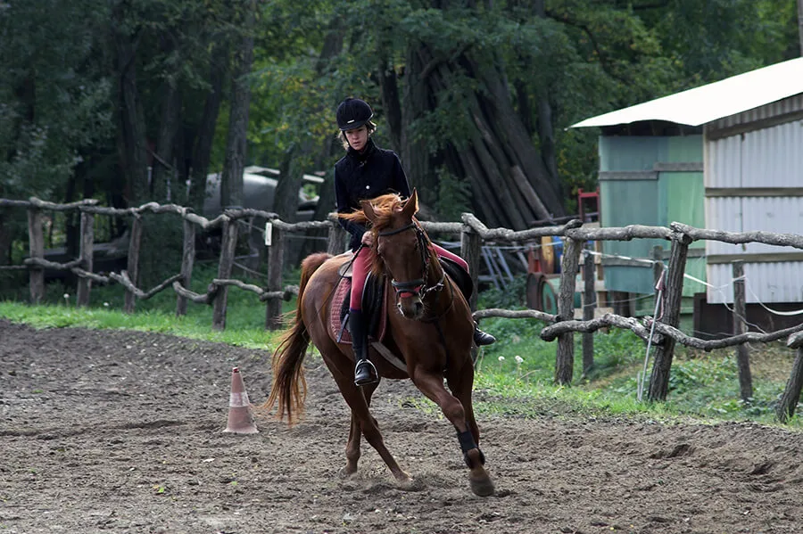 Si votre cheval commence à prendre le mors aux dents, mettez-le sur un cercle pour reprendre le contrôle.