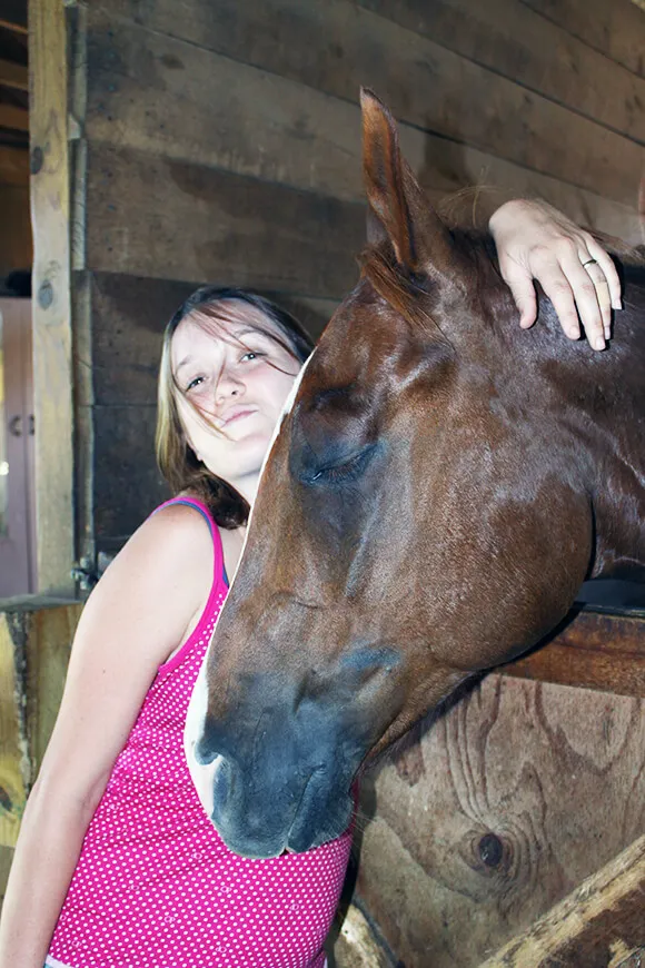 Avoir un cheval est le rêve de beaucoup de cavaliers... La demi-pension est une excellente alternative.