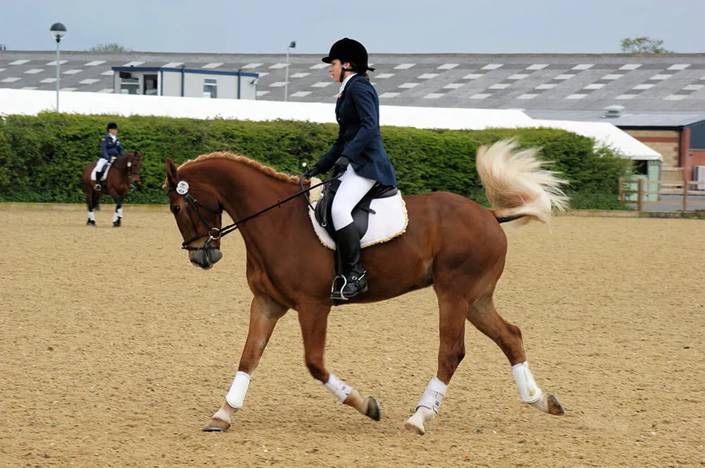 Cheval alezan crins lavés