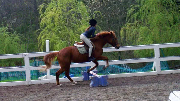 Le cheval d'école enfin expliqué