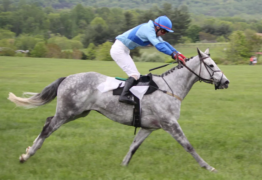 Plus un cheval fait preuve de vitesse et plus son équilibre sera porté vers l'avant.