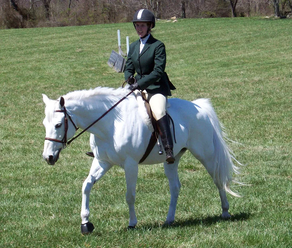 Attention aux confusions : ce cheval a l'air d'être blanc et pourtant il s'agit d'un cheval gris : observez attentivement la couleur de sa peau (visible notamment autour des yeux et sur le bout du nez) : elle est grise et non rose...