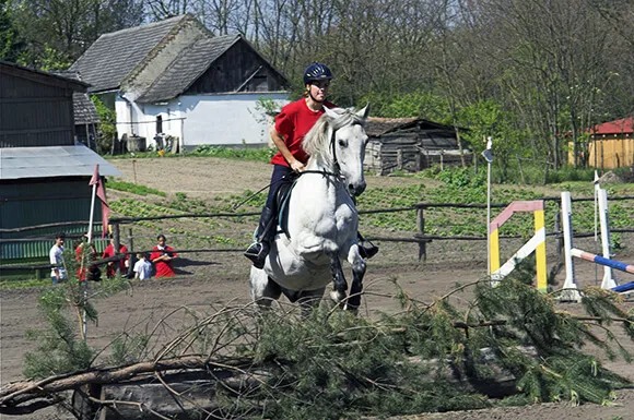 Pensez à vous renseigner sur vos droits, devoirs et interdictions : certains propriétaires refusent par exemple que le cavalier fasse du cross, de l'obstacle ou parte en balade.