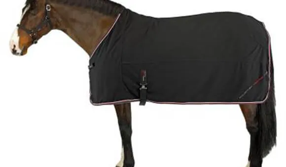 Comment bien sécher son cheval après le travail