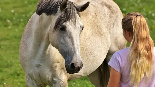 La domestication du cheval