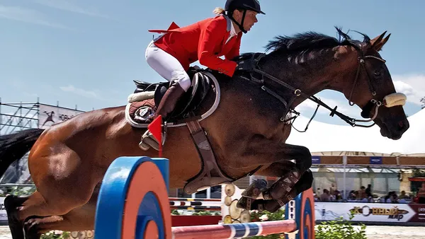 CSO Club et Poney : hauteur des obstacles et technicité des parcours