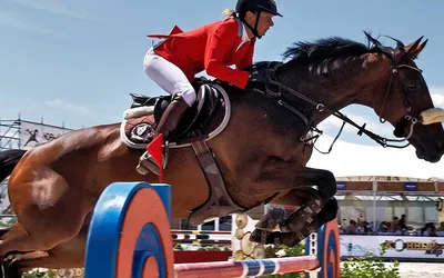 CSO Club et Poney : hauteur des obstacles et technicité des parcours