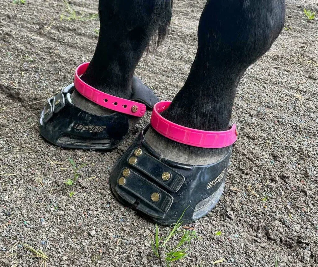 Les hipposandales sont l'un des outils alternatifs utilisés par les podologues