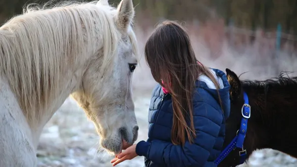[Réflexion] Apprendre à aimer les chevaux