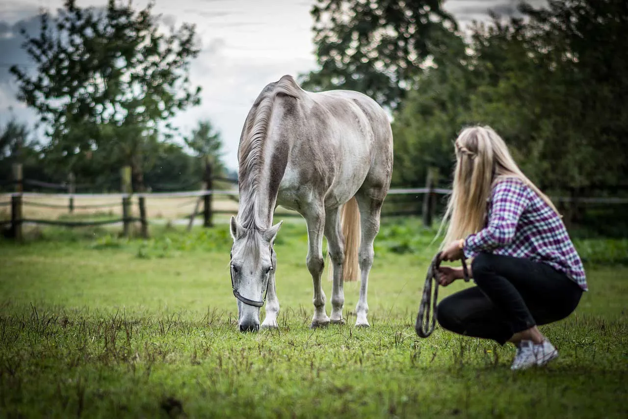 Mieux vaut s'accroupir que s'assoir lorsque l'on est à proximité d'un cheval.