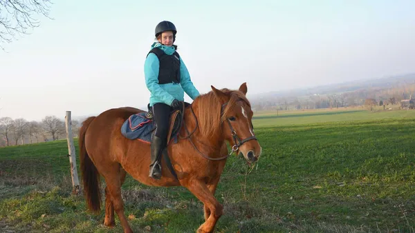 Initiation à l'équitation : qu'est-ce qui vous attend ?