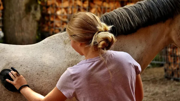 Le Galop 2