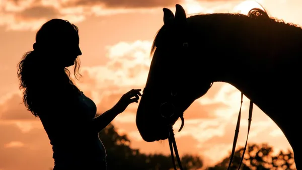 [Réflexion] Antispécisme et équitation