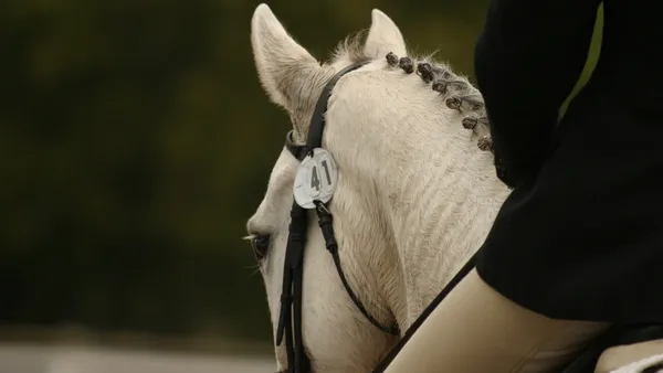 Le Galop 6