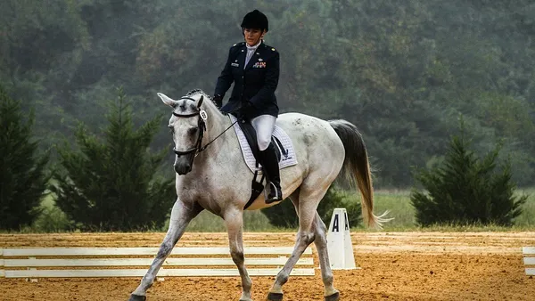 Comment placer son cheval ?