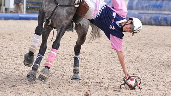 Horse-ball, le basket-ball à cheval !