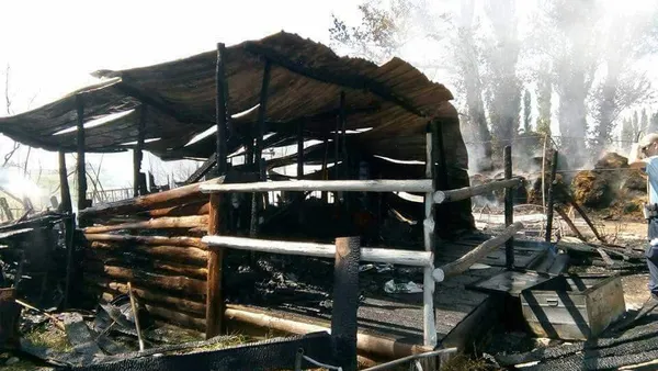 Incendie aux écuries : cette incroyable solidarité entre cavaliers