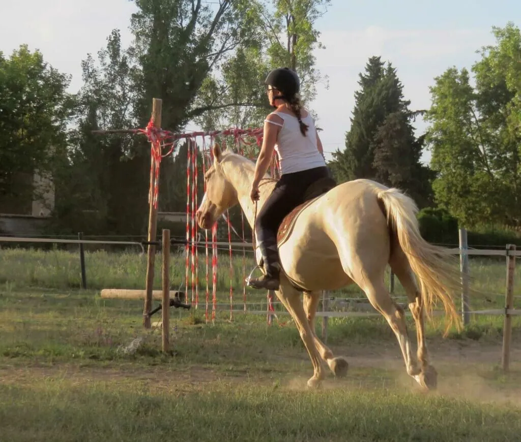 joye et kawelo en cordelette