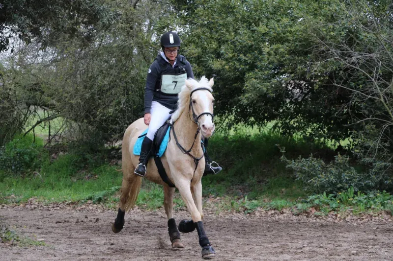 Le trotting est particulièrement intéressant pour les chevaux de sport, notamment ceux pratiquant des disciplines comme l'endurance ou le cross.