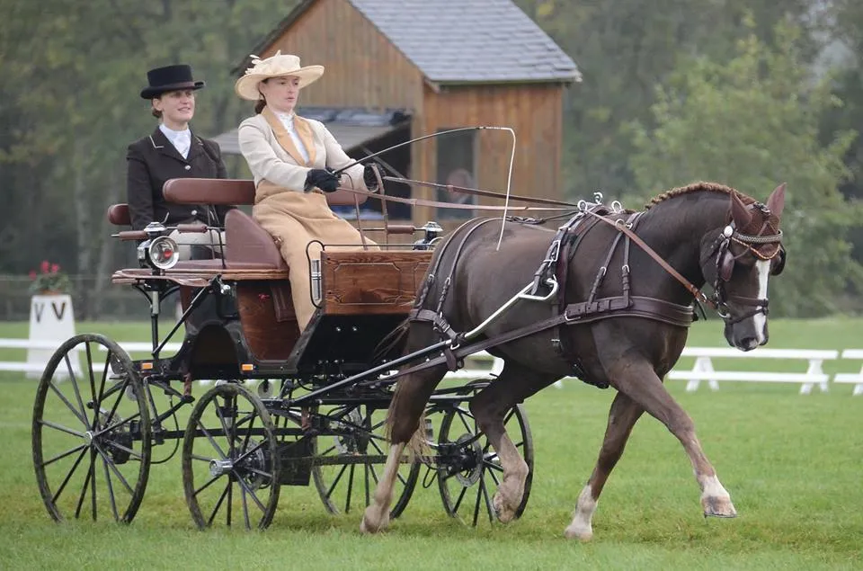 Claire LEFORT et Oulala d'Ecarnoy sur une épreuve de dressage