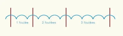 Les lignes d'obstacles sont un excellent moyen de caler le cheval