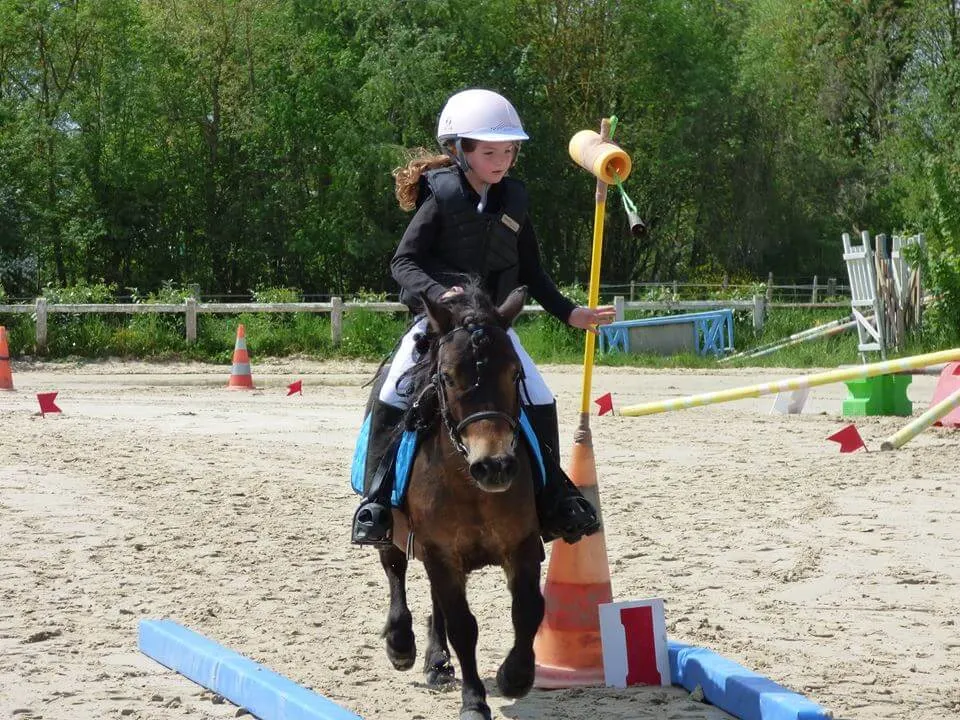 l'equifun est une discipline ludique et pédagogique, idéale pour les enfants