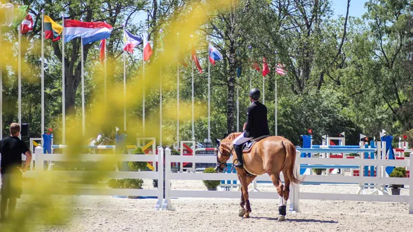 Préparez-vous au Galop 7 : conseils et programme complet