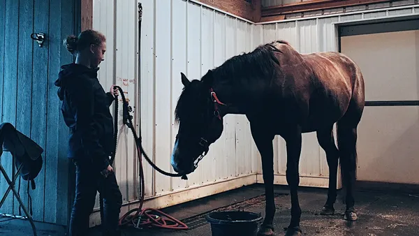Mon cheval à la maison : les installations - partie 1