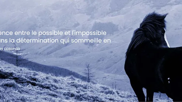 Nouveau site Internet !