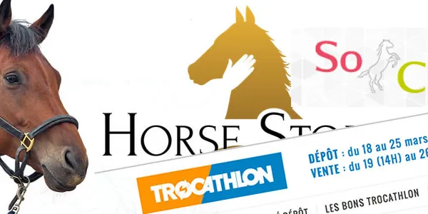 Où acheter son matériel d'équitation ? Les bons plans !