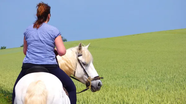 Dressage en extérieur : bienfaits et exercices