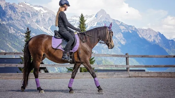 Le Galop 3