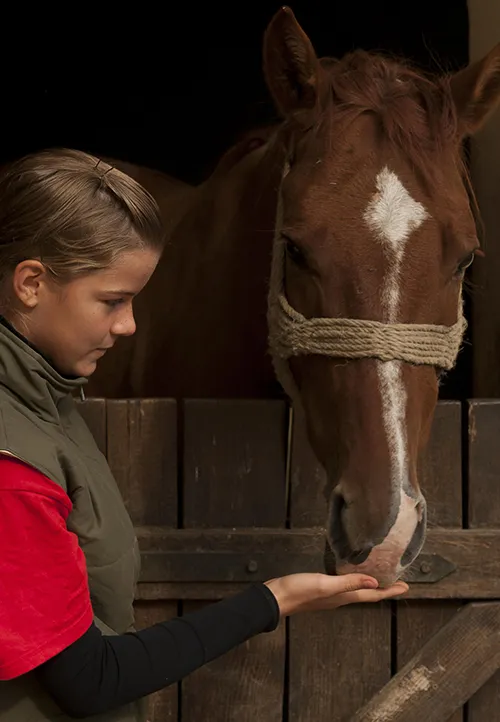Mettre son cheval au pair signifie devoir le partager avec de nombreux autres cavaliers... Si vous êtes plutôt du genre possessif, cette solution ne vous conviendra pas.