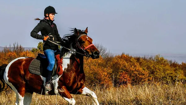 Vaincre sa peur à cheval