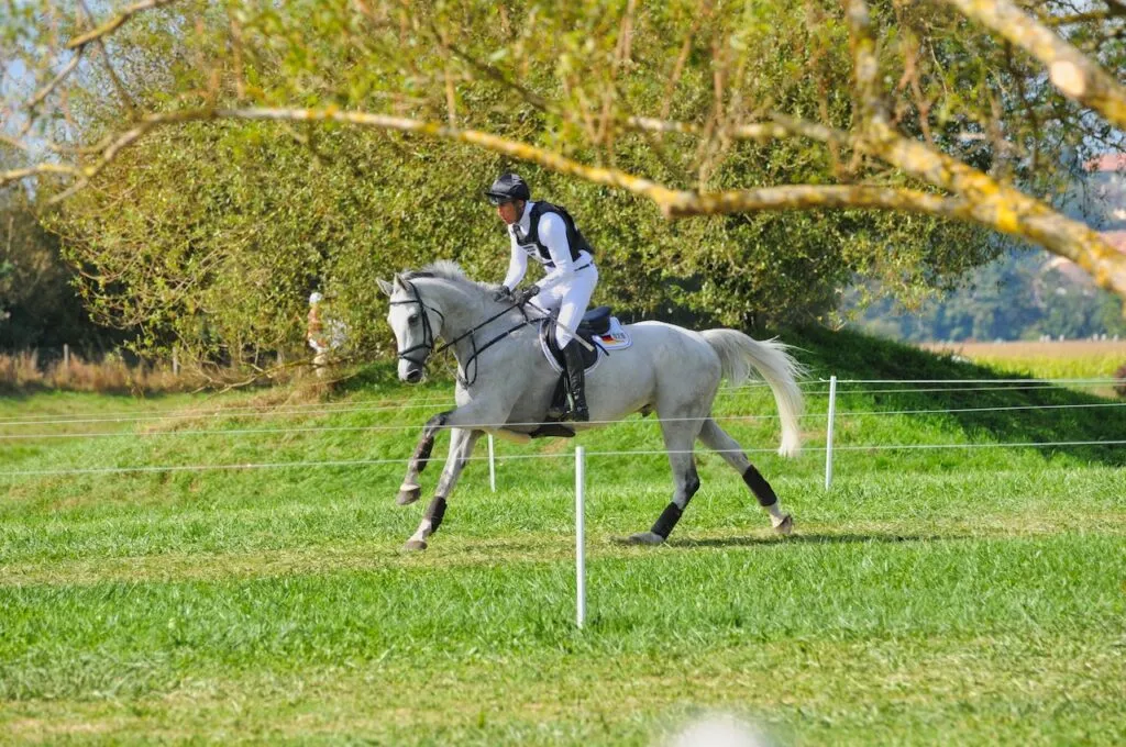 Il faut être capable d'avoir une cadence régulière lors d'un cross pour le Galop 7.