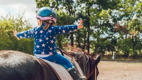 Travailler dans le milieu du cheval : s'orienter dès le collège