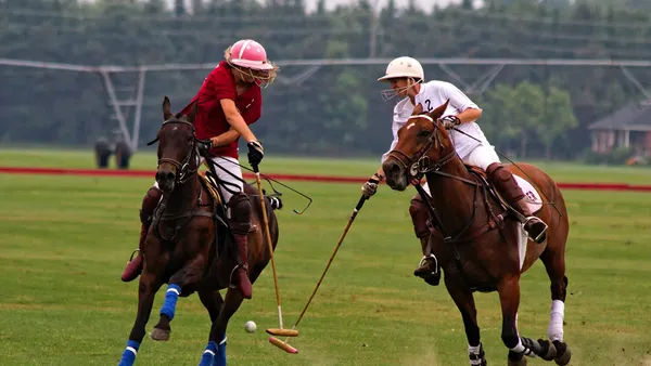Le polo : un sport équestre qui se joue en équipe !
