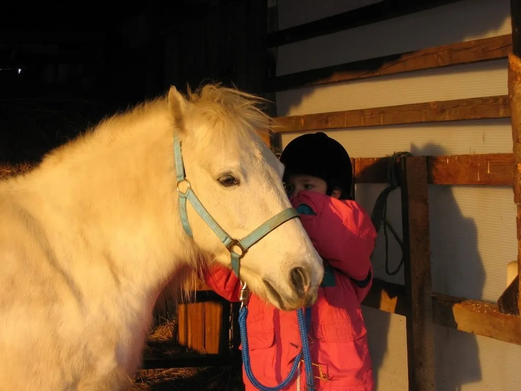 galop 2