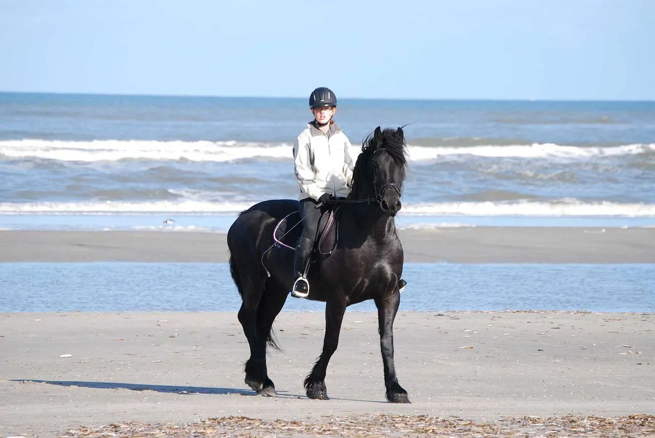 Le port du casque est bien souvent obligatoire, et ce quelle que soit la discipline pratiquée et le niveau du cavalier.