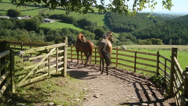 Le Paddock Paradise, la prairie au naturel