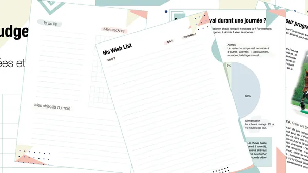 Carnet Cavalière : où en est-on ?