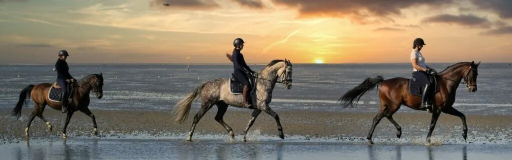Promenade à cheval au soleil couchant sur le bord de mer